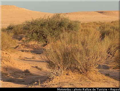reconnaissance_17_rallye_tunisie_2010.JPG