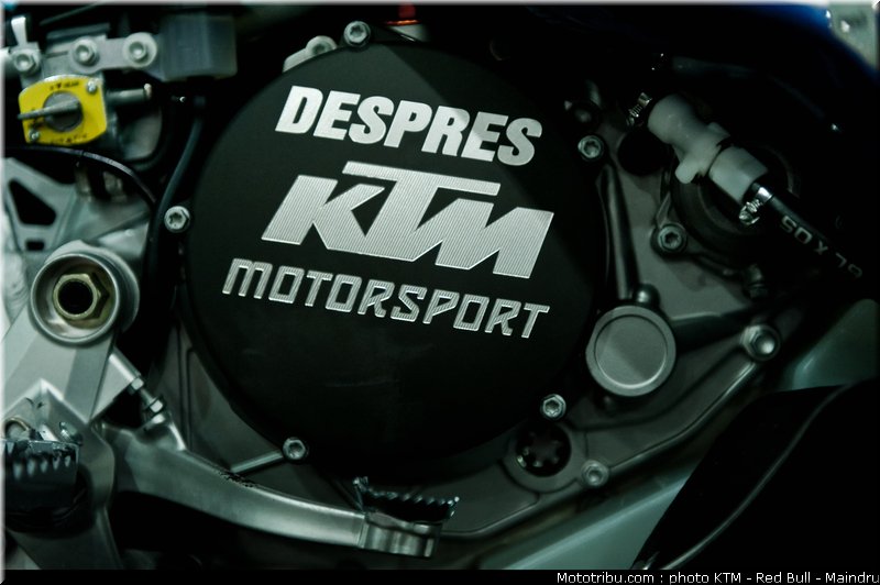 dakar_2011_despres_14
