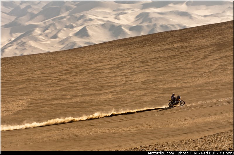 dakar_2011_despres_44