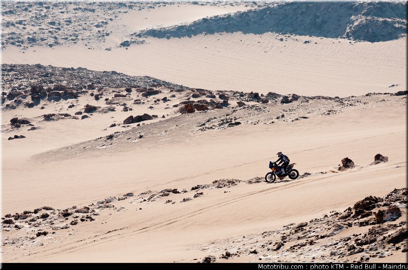 dakar_2011_despres_46