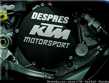 dakar_2011_despres_14.jpg