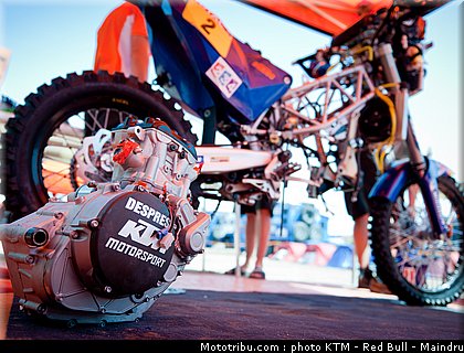 dakar_2011_despres_16.jpg