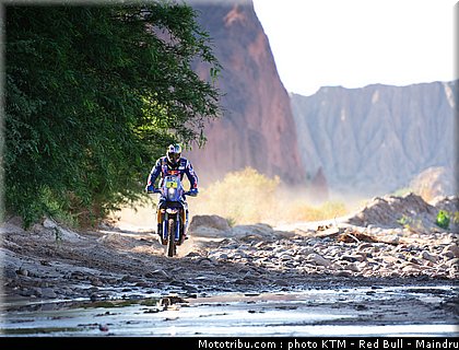 dakar_2011_despres_38.jpg