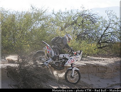 dakar_2011_lejeune.JPG