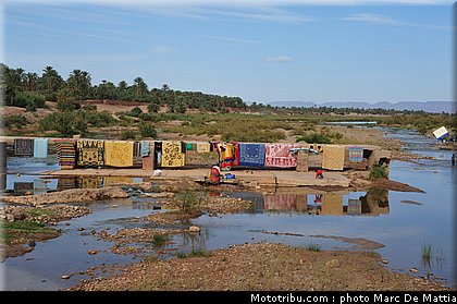 054_rallye_du_maroc_2011.jpg