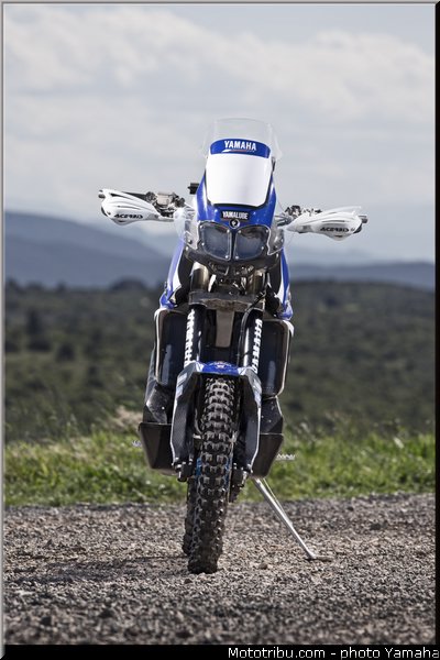 cyril_despres_yamaha_yz450f_rallye_2013_012