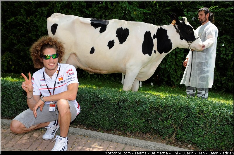 simoncelli_marco_2011_058