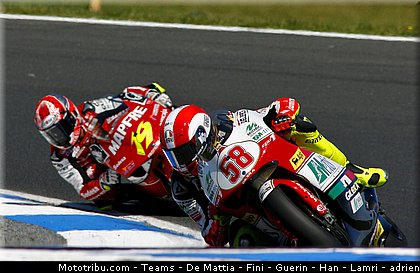 simoncelli_marco_2008_001.jpg
