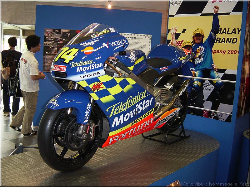 MOTO 