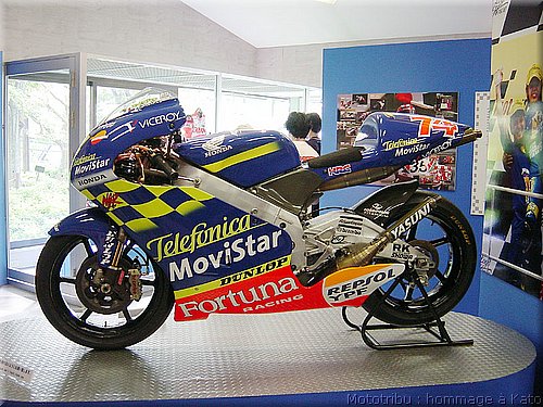 divers-kato_010.jpg