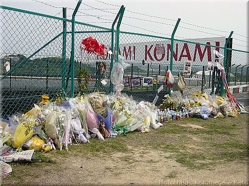 divers-kato_022.jpg