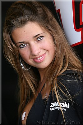 pitbabes_5.jpg