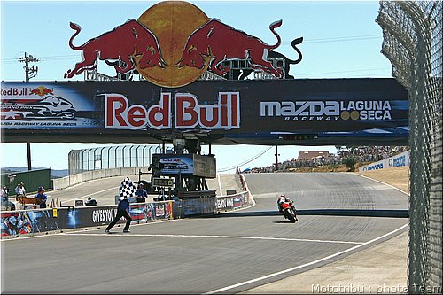 pedrosa_11.jpg