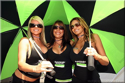 pitbabes_05.jpg