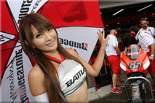 pitbabes_11.jpg
