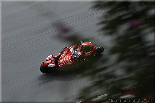 motogp-stoner_11.jpg