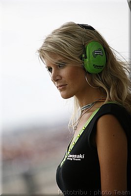 pitbabes_01.jpg
