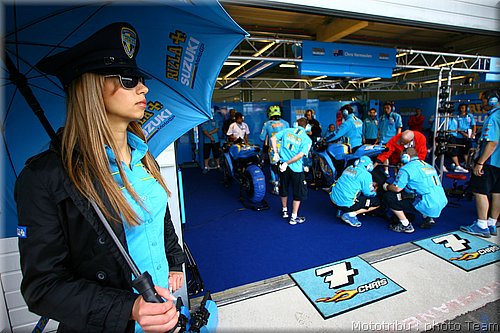 pitbabes_05.jpg