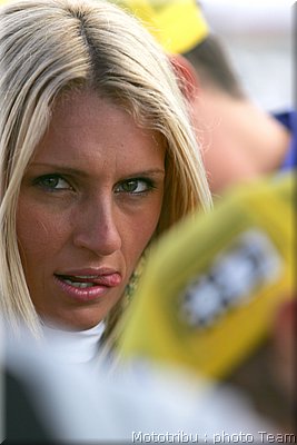 pitbabes_12.jpg