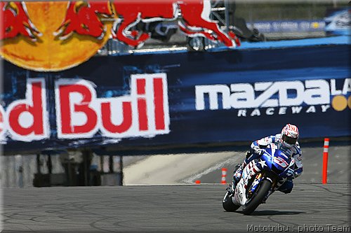 edwards_06.jpg