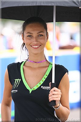 pitbabes_10.jpg