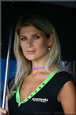 pitbabes_28.jpg