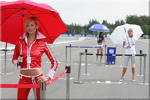pitbabes_36.jpg