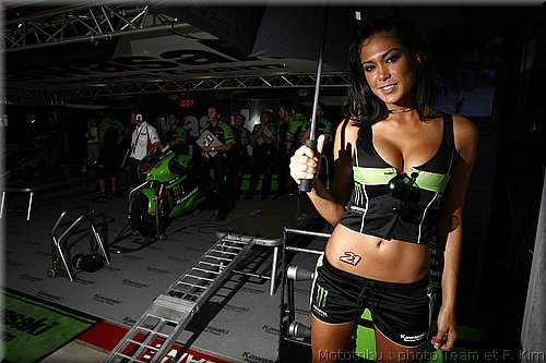 pitbabes_03.jpg