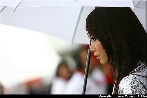 pitbabes_06.jpg