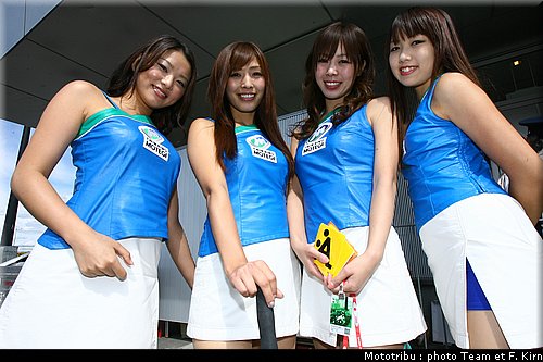 pitbabes_13.jpg