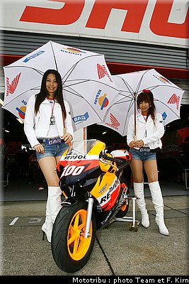 pitbabes_16.jpg