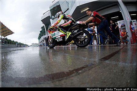 250_simoncelli_11.jpg