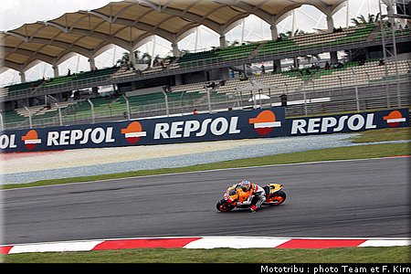 motogp_hayden_08.jpg