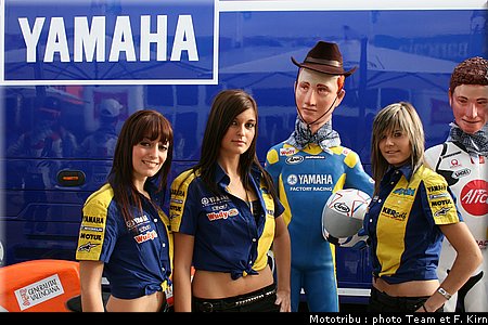 pitbabes_01.jpg