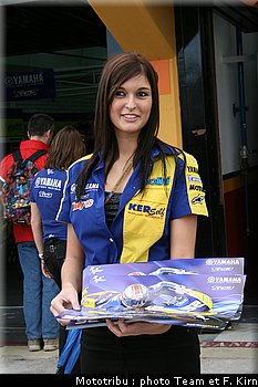 pitbabes_11.jpg
