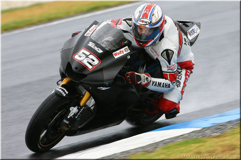 toseland2
