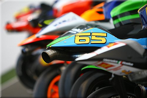 suzuki_4.jpg