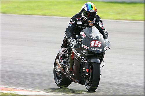 deangelis-4.jpg