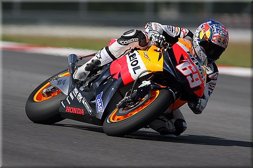hayden-012.jpg