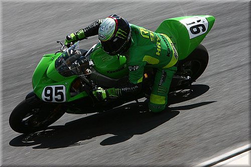 leehayden-400299.jpg