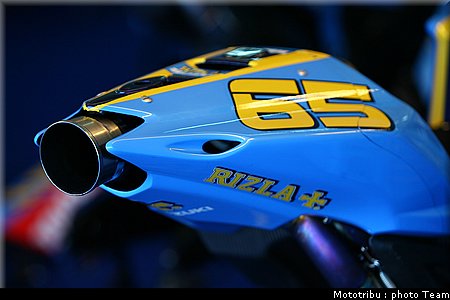 suzuki_2.jpg