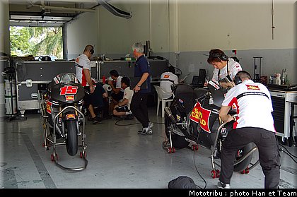 deangelis_024.JPG