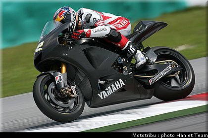 toseland_011.jpg