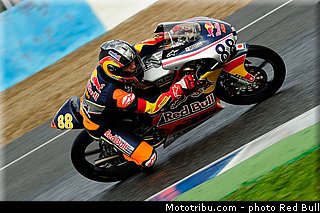 martin_005_redbull_motogp_rookies_cup_2013_test_fevrier.jpg