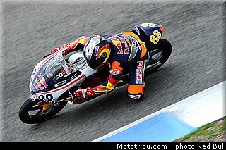 martin_007_redbull_motogp_rookies_cup_2013_test_fevrier.jpg