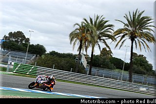 martin_008_redbull_motogp_rookies_cup_2013_test_fevrier.jpg