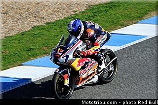 michail_013_redbull_motogp_rookies_cup_2013_test_fevrier.jpg