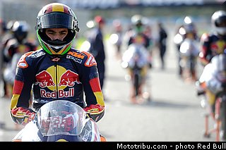 perez_009_redbull_motogp_rookies_cup_2013_test_fevrier.jpg