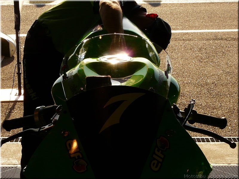 0046-paddock-024