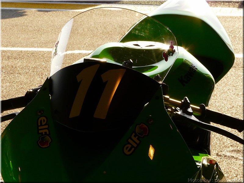 0050-paddock-028
